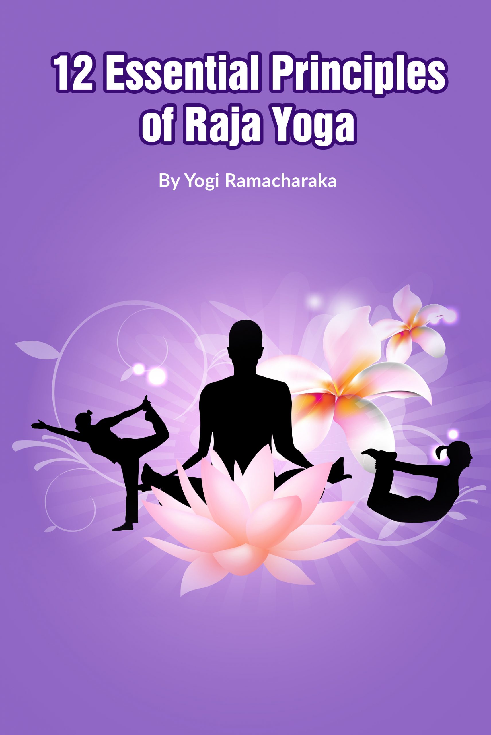12 essential principles of raja yoga